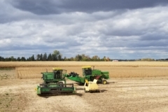 Cleanout of JD4420 Combines during soybean breeder plot harvest