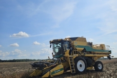 Oxbo Combine harvesting soybeans