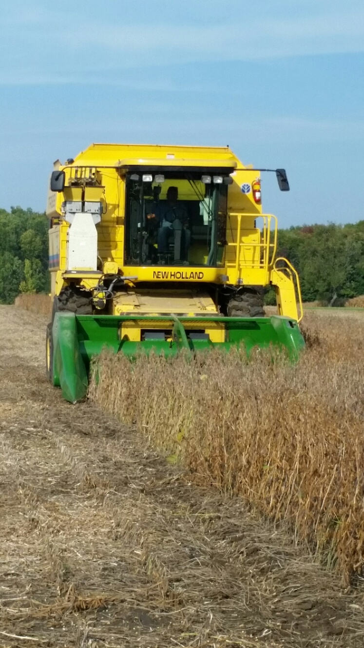 TR89 harvesting soybeans