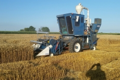 Almaco 40 harvesting winter wheat yield trials