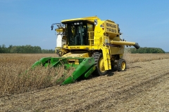 TR89 harvesting soybeans