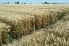 20190718_101020_resized