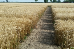 20190718_101043_resized