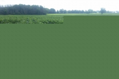 20190821_105014_resized