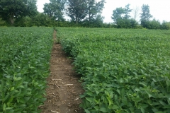 20190821_105022_resized