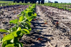 IMG_20200608_181311_829