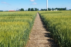 IMG_20200624_102735_675