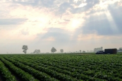 IMG_20200709_201523_407