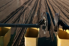 IMG_20210529_193641_275