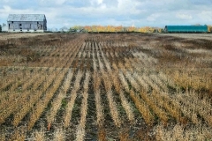 IMG_20211013_073604_011