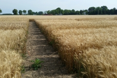 20190718_100956_resized