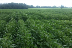 20190821_105014_resized