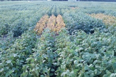 20190829_194943_resized