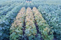 20190829_194959_resized