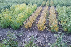 20190829_195217_resized