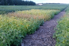 20190829_195223_resized