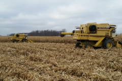 20191130_102752_resized (1)