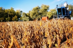 IMG_20191016_150508_214